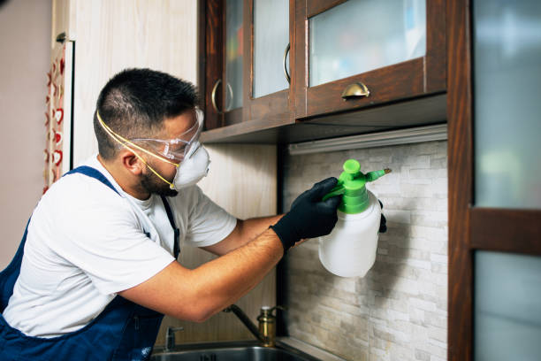 Best Rat Extermination Near Me  in Walled Lake, MI