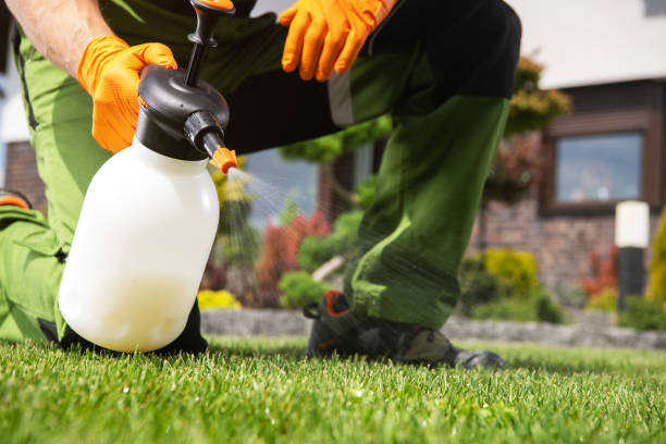 Best Flea Control Services  in Walled Lake, MI