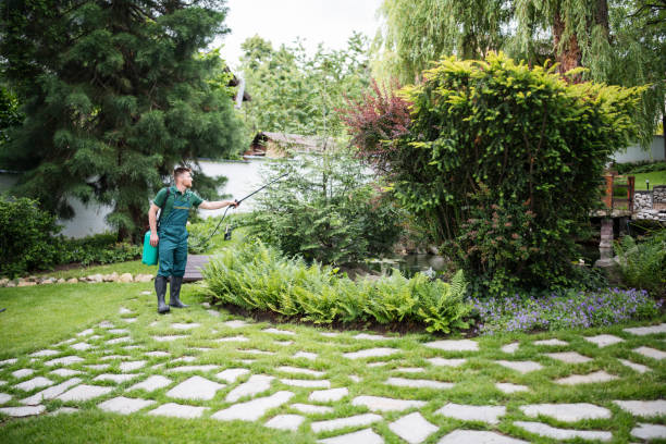 Best Pest Removal Services  in Walled Lake, MI