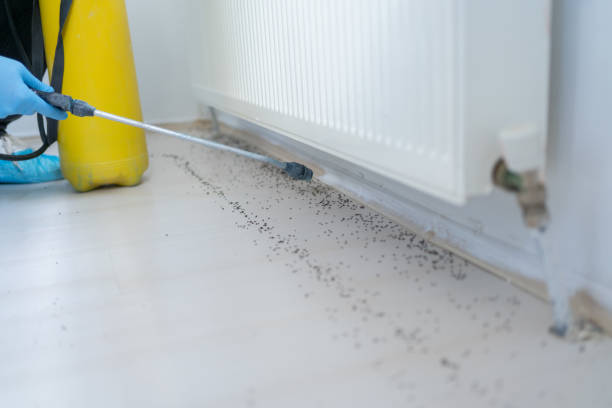 Best Commercial Pest Control Services  in Walled Lake, MI