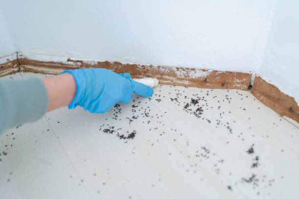 Best Best Pest Control Companies  in Walled Lake, MI